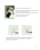 The Texture Manhua Lash Tray Packages